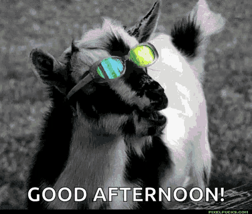 a goat wearing sunglasses with the words good afternoon written below it