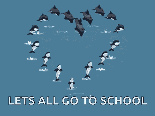 a group of dolphins are swimming in a circle with the words " lets all go to school " below them