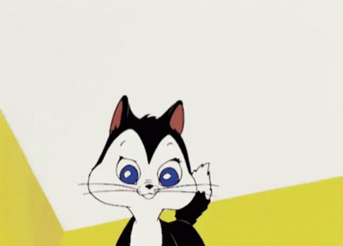 Cats Mad GIF - Cats Mad Push GIFs