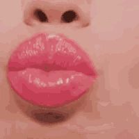 Kiss Kiss You GIF