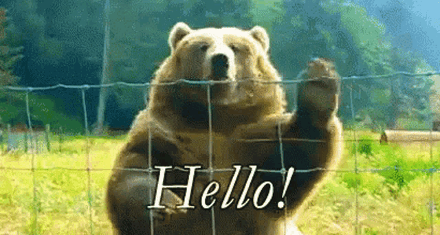 a brown bear is standing behind a wire fence and waving its paw at the camera .