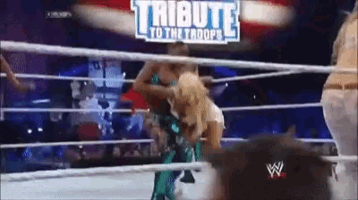 two women are wrestling in a ring with the words tribute to the troops on the bottom