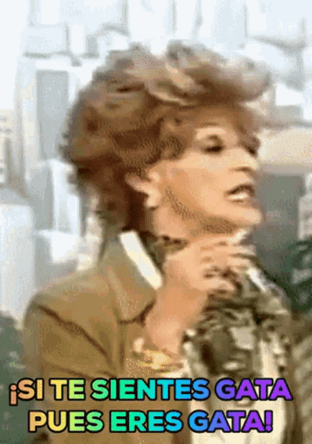 a woman in a brown jacket says " si te sientes gata pues eres gata ! "