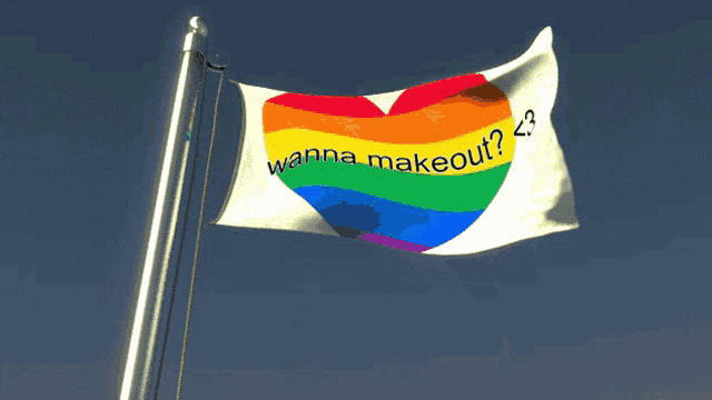 a flag with a rainbow heart and the words " wanna makeout " on it