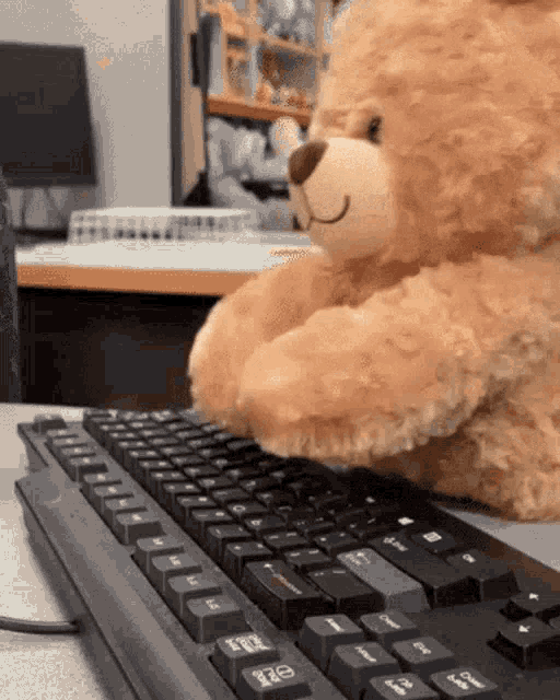 Bear Answer Bear Typing GIF - Bear Answer Bear Typing GIFs