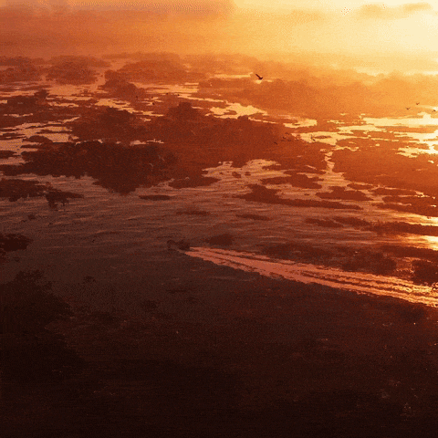 a sunset over a body of water with birds flying over it