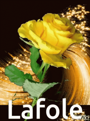 Yellow Rose GIF - Yellow Rose GIFs