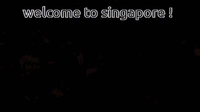 Welcome To Singapore Friends GIF - Welcome To Singapore Friends Fun GIFs