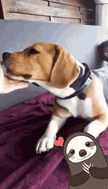 Pup Pet GIF - Pup Pet Dog GIFs