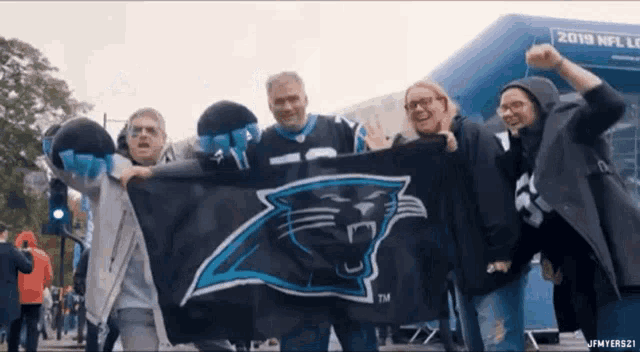 Carolina Panthers Nfl GIF