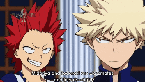 midoriya and todoroki are classmates and friends