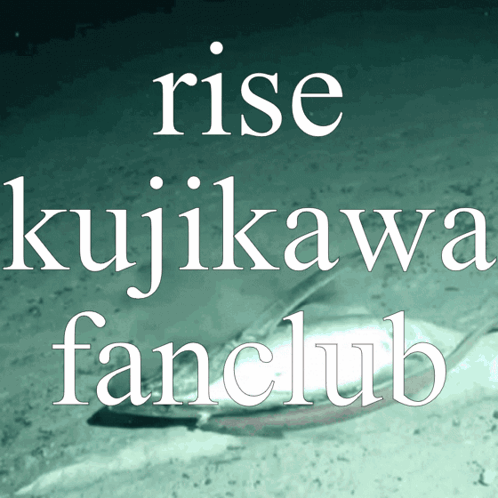 Rise Kujikawa Rkfc GIF - Rise Kujikawa Rkfc Persona GIFs