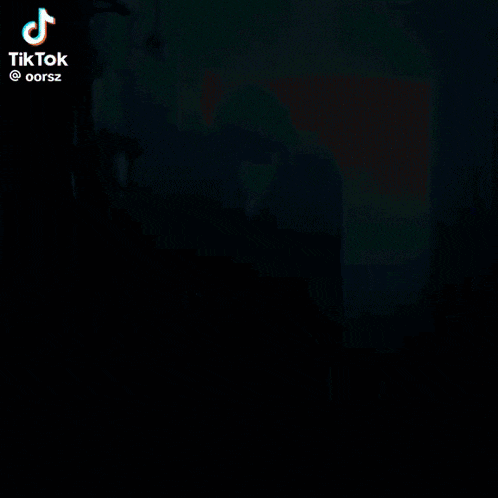 a man wearing a cowboy hat and a green shirt has a tiktok logo on the bottom right