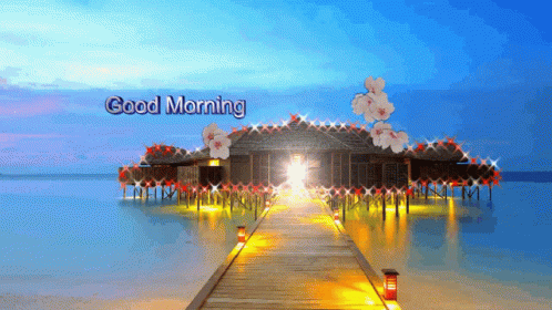 Good Morning Flower GIF - Good Morning Flower Ocean GIFs
