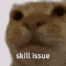 a close up of a cat 's face with the words skill issue written in white letters .