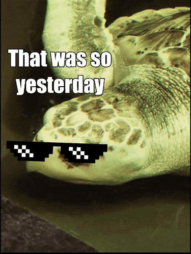 a picture of a sea turtle wearing sunglasses with the caption that was so yesterday