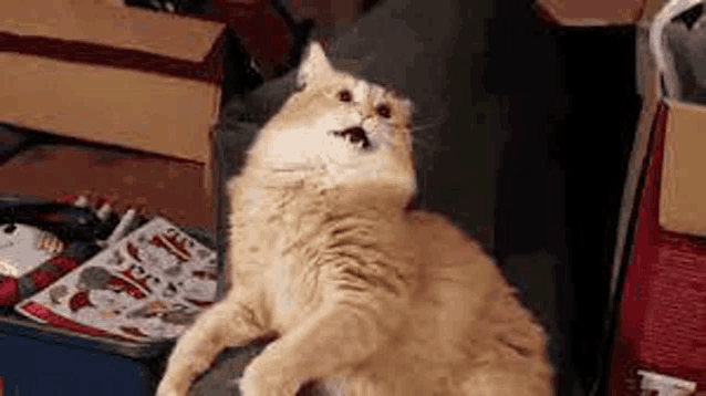 a cat is sitting on top of a pile of boxes and looking at the camera .
