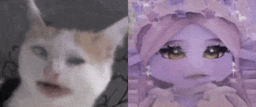 a cat and a doll are sitting next to each other .