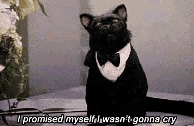 a black cat is wearing a tuxedo and bow tie and says i promised myself i wasn 't gonna cry
