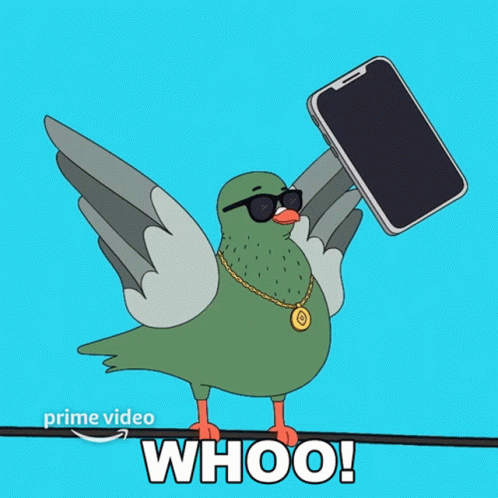 Whoo Glenn The Pigeon GIF - Whoo Glenn The Pigeon Fairfax GIFs