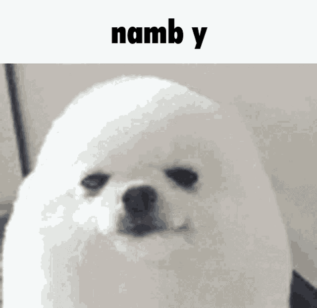Namby Wholesome GIF