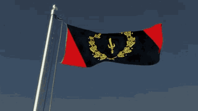 a black and red flag with a sword and laurel wreath