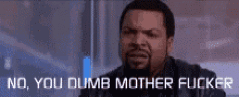 ice cube is making a funny face with the words `` no , you dumb mother fucker '' .