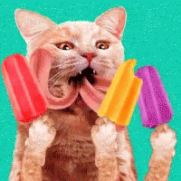 Lick Popsicle GIF - Lick Popsicle GIFs