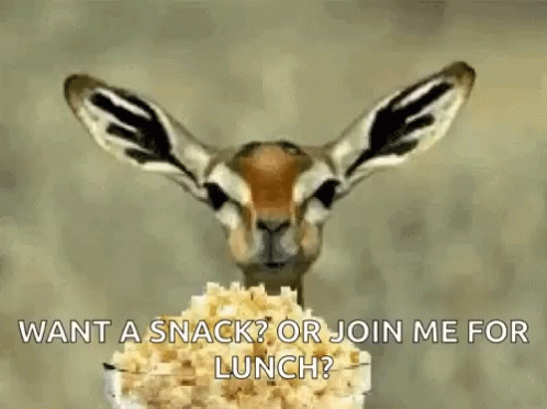 Deer Eating GIF - Deer Eating Popcorn GIFs