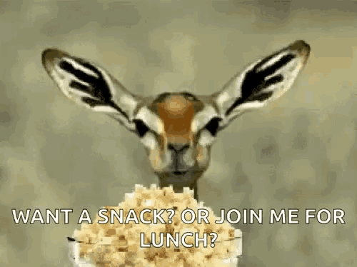 a gazelle is eating popcorn with the words `` want a snack or join me for lunch ? '' written below it .