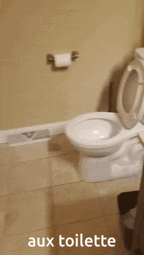 a toilet in a bathroom with the words " aux toilette " on the bottom