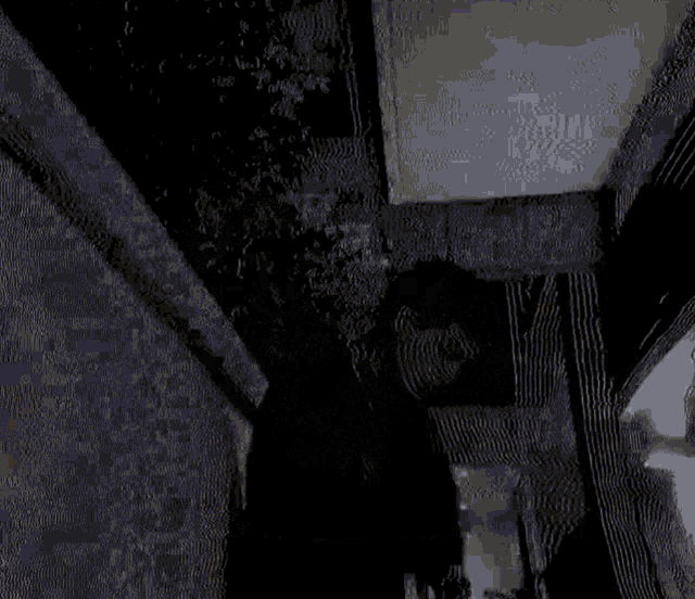 a black and white image of a building with a shadow of a person