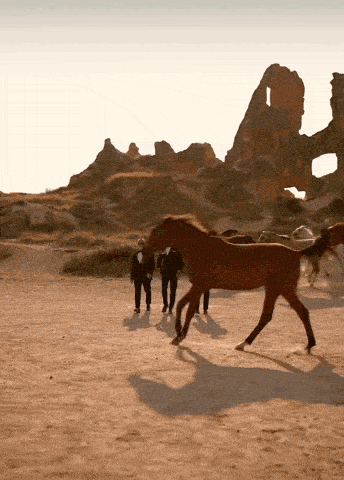 a group of people are walking behind a brown horse