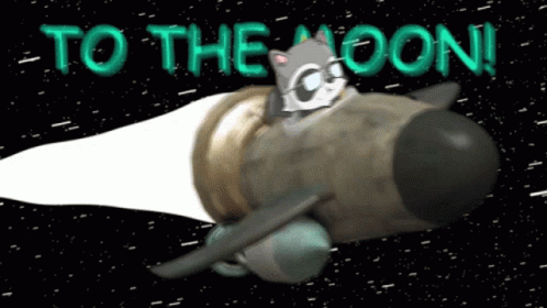 To The Moon Raccoons Raccoons To The Moon GIF