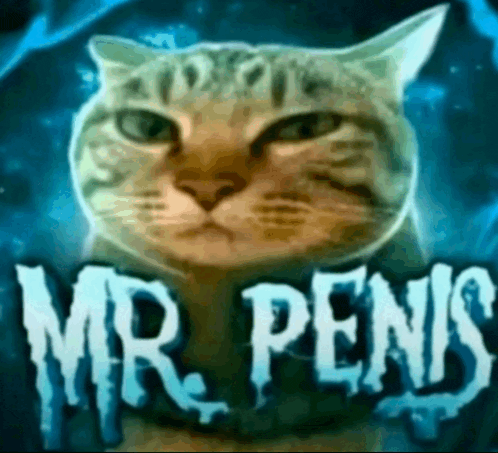 a cat is standing in front of a sign that says " mr penis "