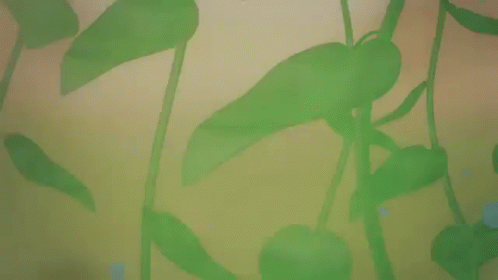 No Room In Frame GIF - Painting Plants Leaf GIFs
