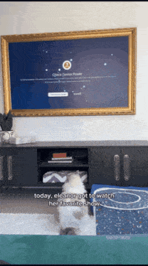 a cat is standing in front of a tv screen that says " quick device power "