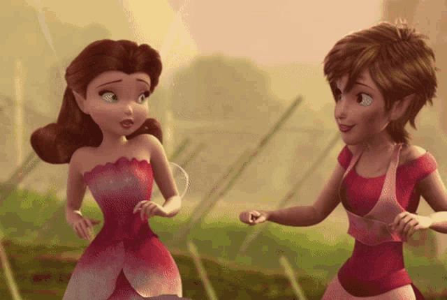 two fairy dolls are standing next to each other in a field