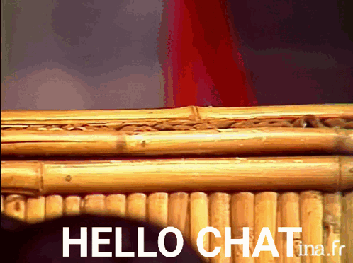 Casimir Hello Chat GIF