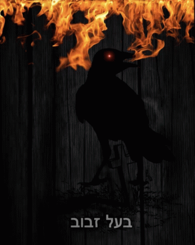 a black bird is silhouetted against a wooden wall with flames behind it and the words " בול זבוב " below it