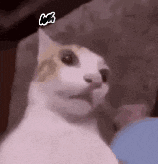 a white and brown cat is sitting on a couch and looking at the camera .
