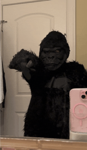 a person in a gorilla costume takes a picture of themselves in the mirror