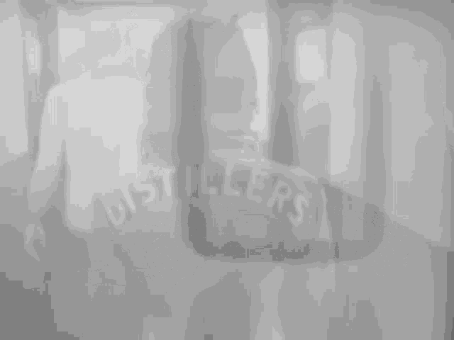 a person wearing a jacket that says distillers on the back