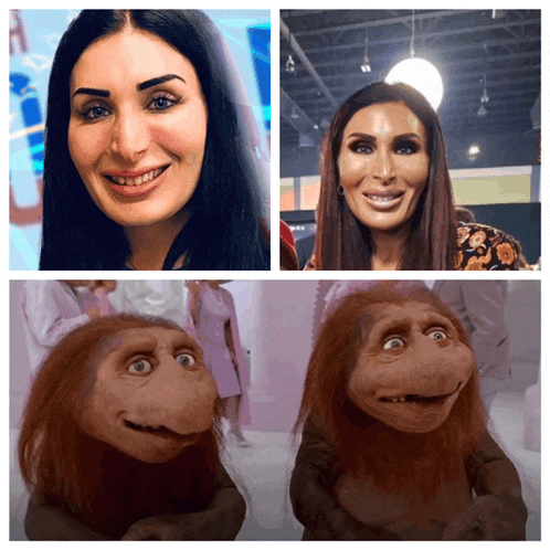 a collage of images shows a woman and a monkey