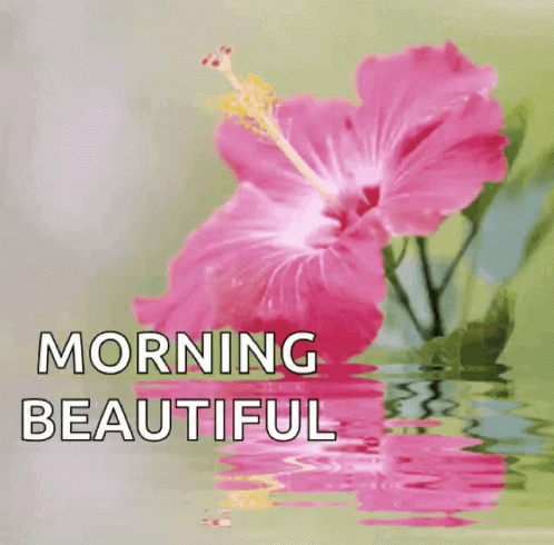 Morning Good Morning GIF - Morning Good Morning Beautiful GIFs