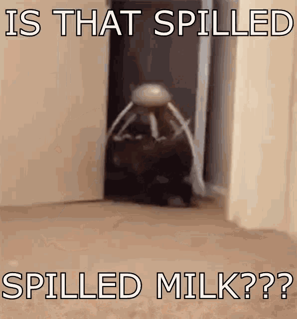 Vibetribe Spilled GIF - Vibetribe Spilled Spilled Milk GIFs