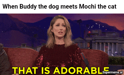 a woman is sitting on a couch with a caption that says that is adorable