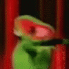 Crazy Kermit GIF - Crazy Kermit Freaking Out GIFs