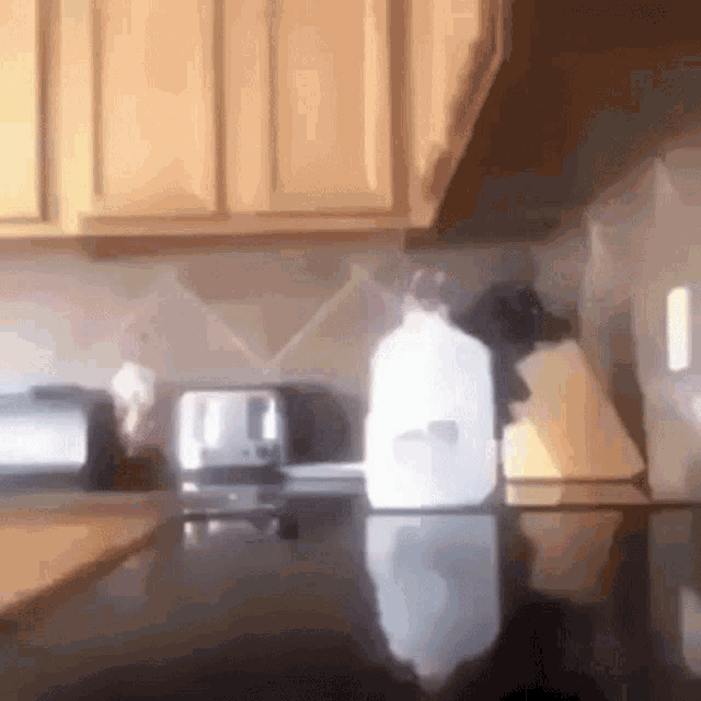 a kitchen counter with a gallon of milk and a toaster