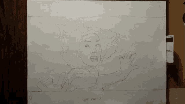 a drawing of a woman with the name phoenix written on the bottom